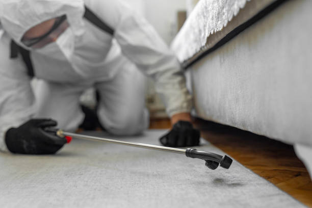 Professional Bed Bug Control technician working in Veazie, ME