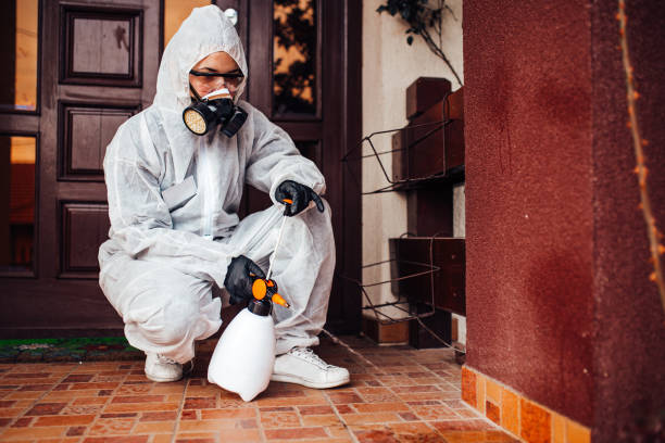 Reliable Bed Bug Control contractor in Veazie, ME by Nex Pest Control
